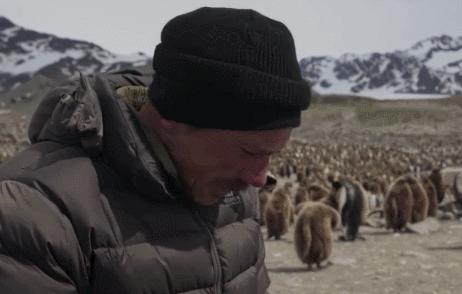 地球妈妈生病了故事,地球变暖冰川融化企鹅