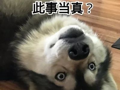 聚划算每日分享,聚划算的福利