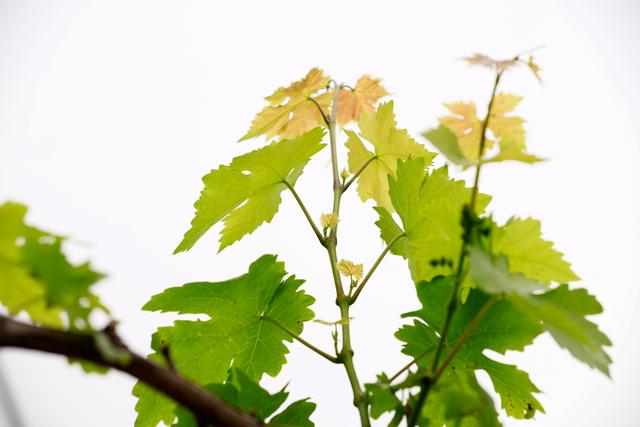 有人问我，5D4值得购买吗，你怎么回答？