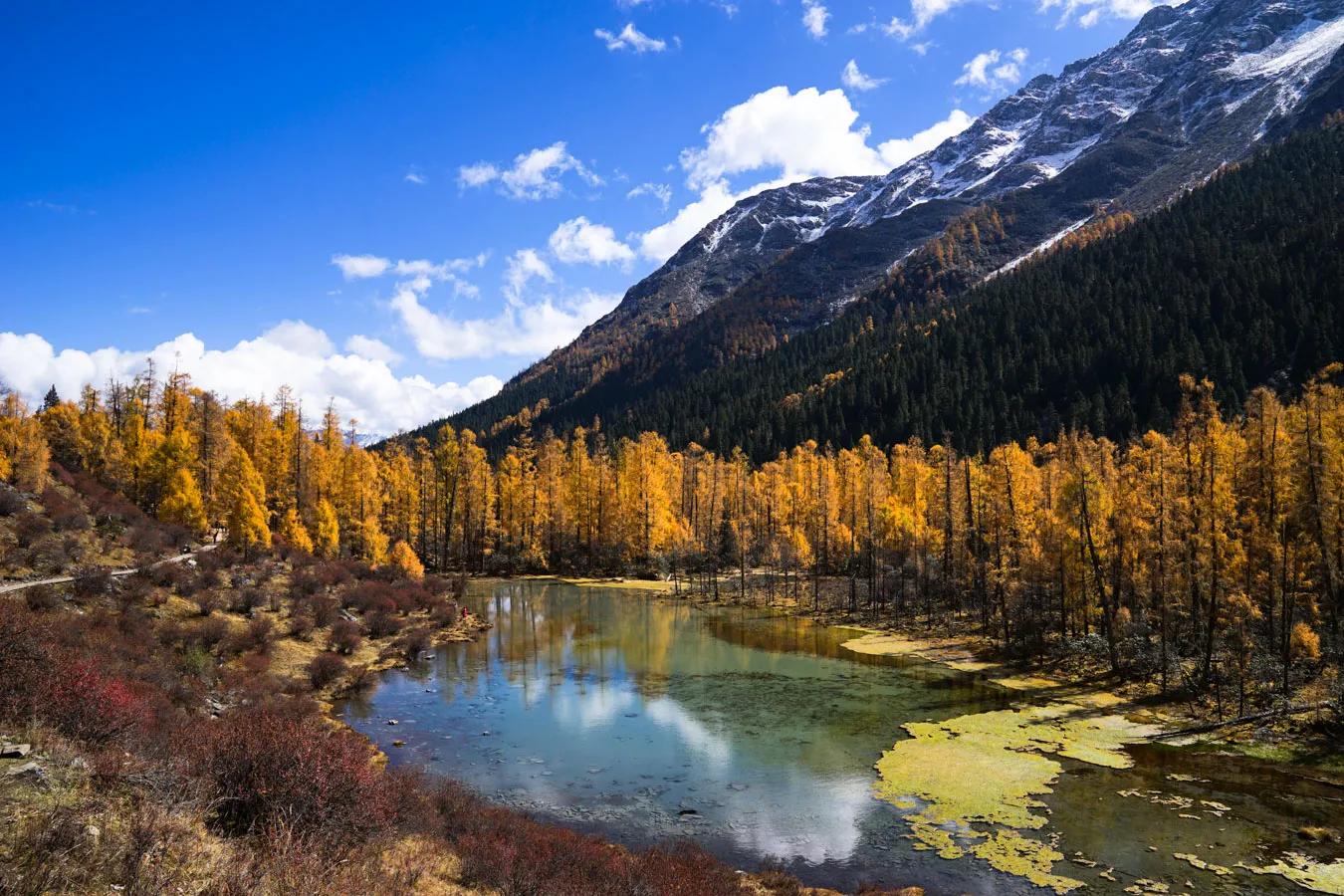 去甘孜和阿坝哪个风景更好,8月川西甘孜和阿坝