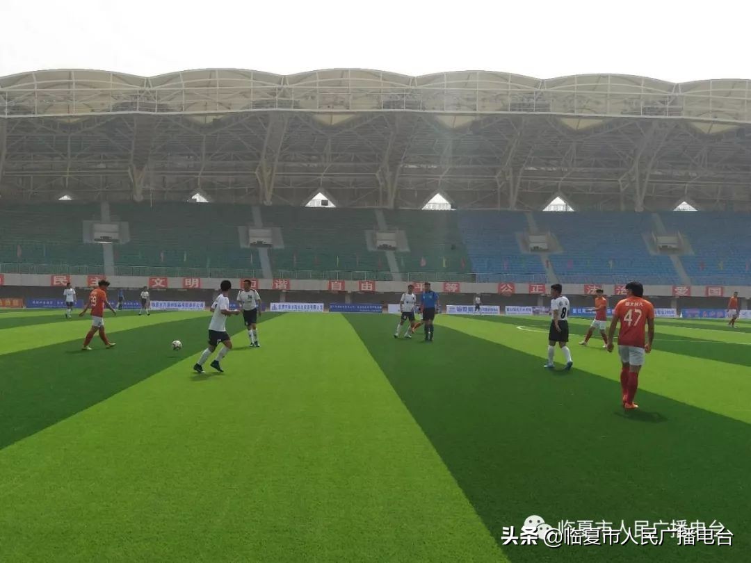 2021河州牡丹文化月系列活动,2019河州牡丹文化节