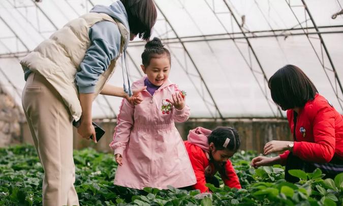 2023年三寰牧场最新攻略,三寰牧场攻略最新