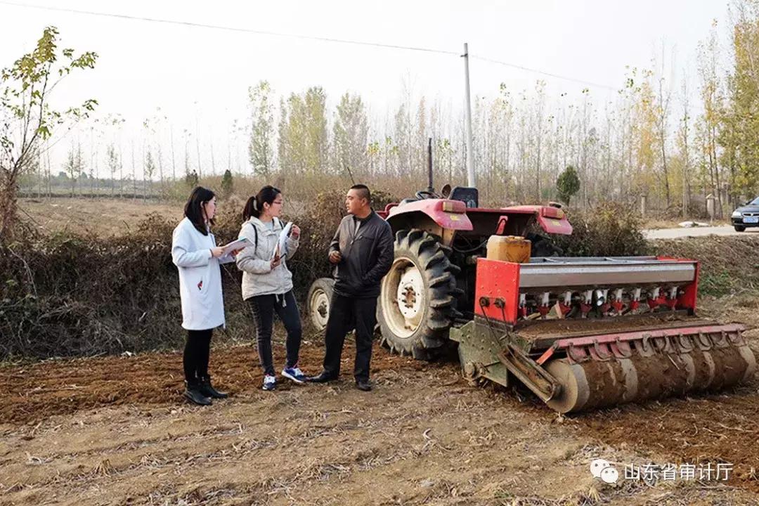 这一年收获颇丰,这一年收获了太多的温暖与感动