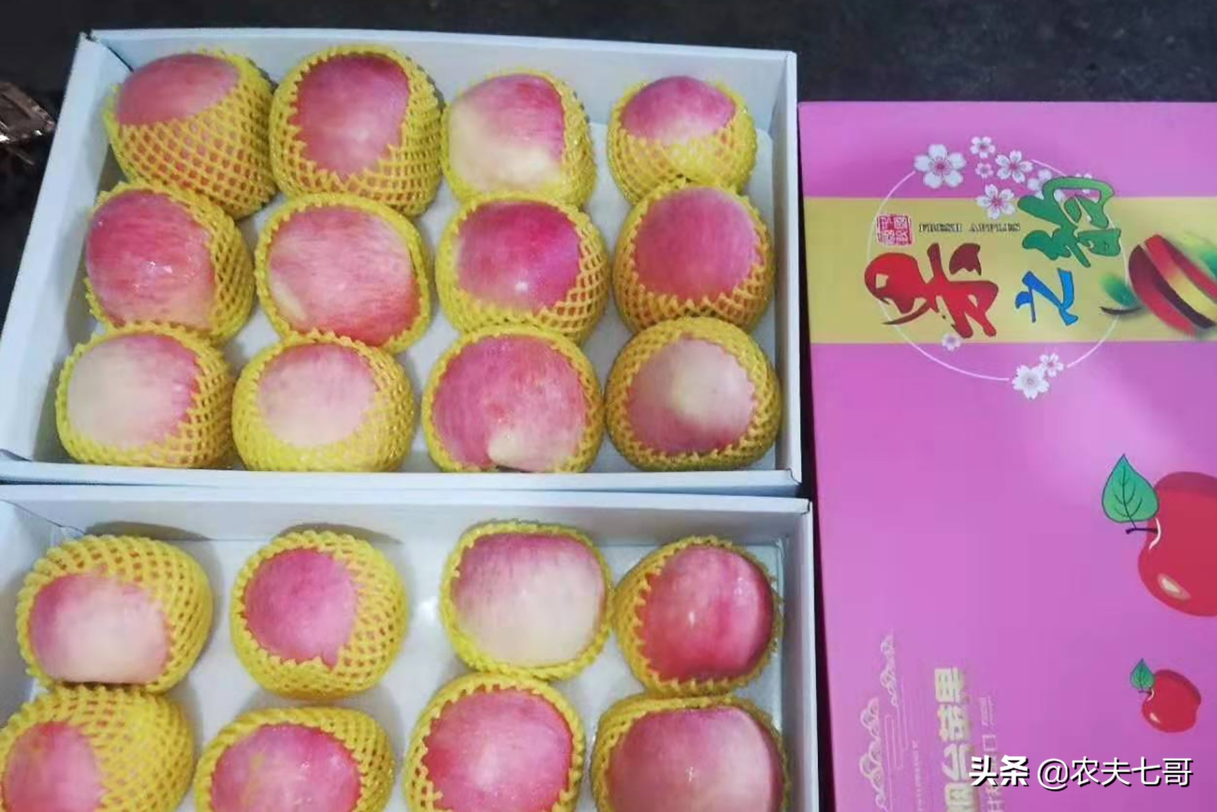 苹果怎么快速打包到果袋,苹果果农套袋子最快方法