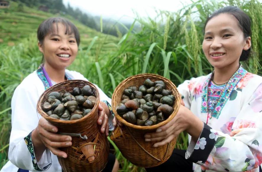 卖螺蛳粉线上挣钱吗,最成功的营销螺蛳粉
