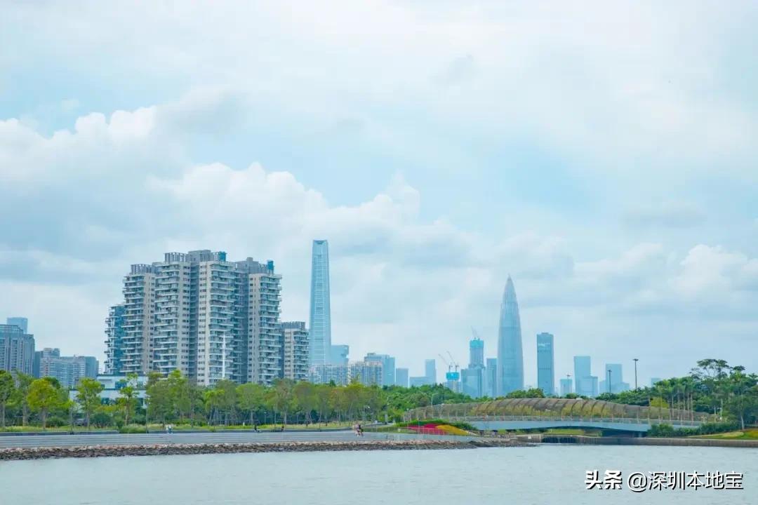 深圳经济特区民生建设,深圳经济发展方向南山区