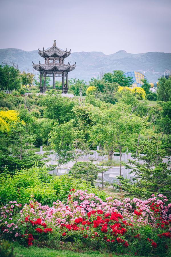 营口团山海洋公园的海蚀地貌,营口海滨国家地质公园