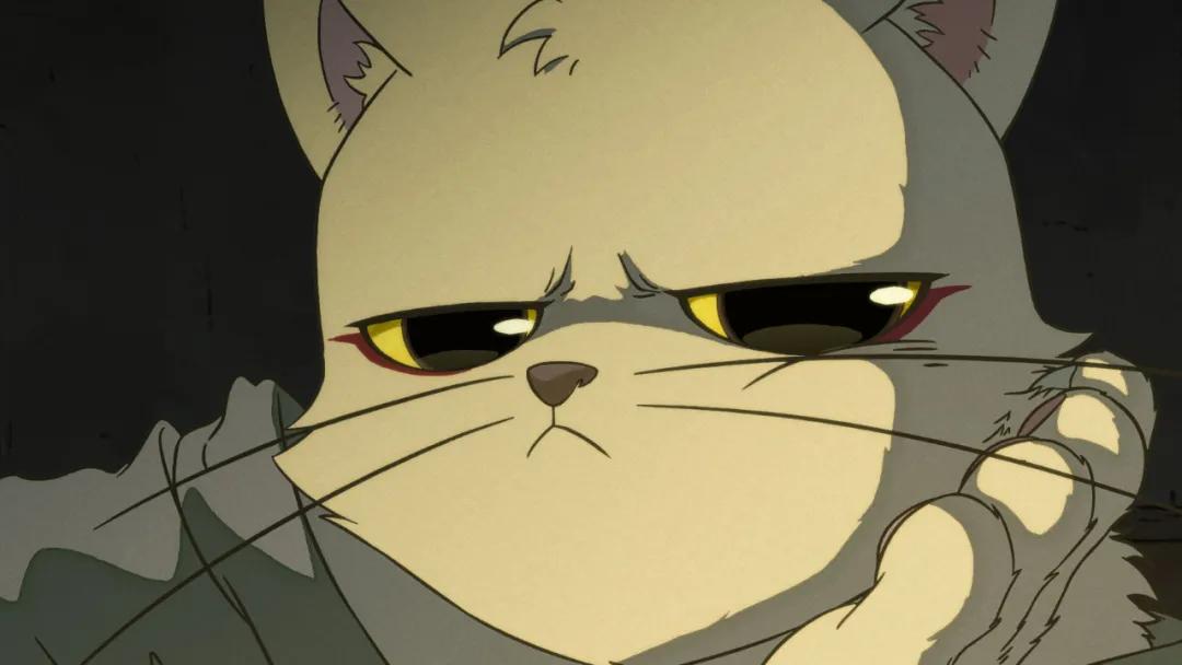 2023国漫每周追番时间表,完结动态国漫推荐