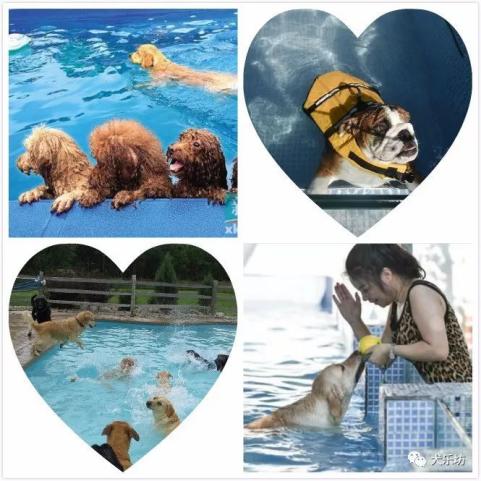 鑲嗘剰涔愭椿,鑲嗘剰涔愭椿灞变笢