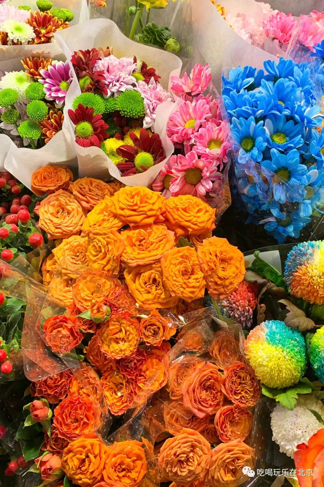 北京崇文区西花市大街,北京通州花市在哪里