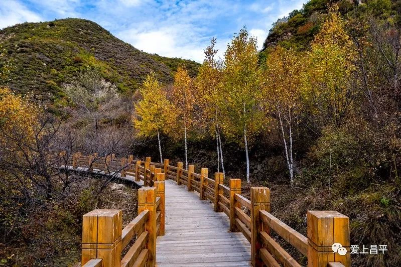 昌平区适合一日游玩踏青的地方,4月中旬昌平区最值得去的景点