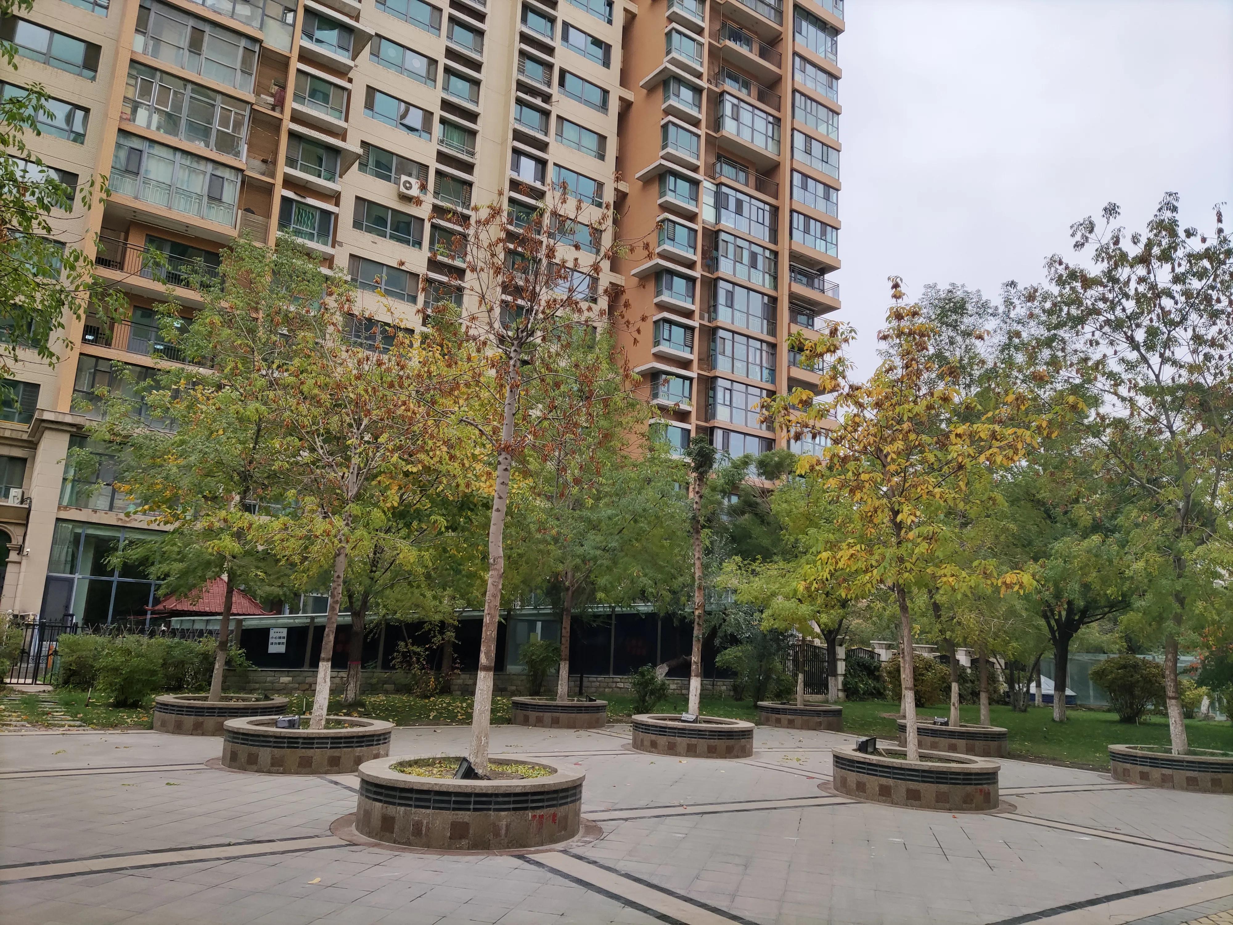 乌鲁木齐市南湖绿化广场附近小区,乌鲁木齐绿化最好的公园