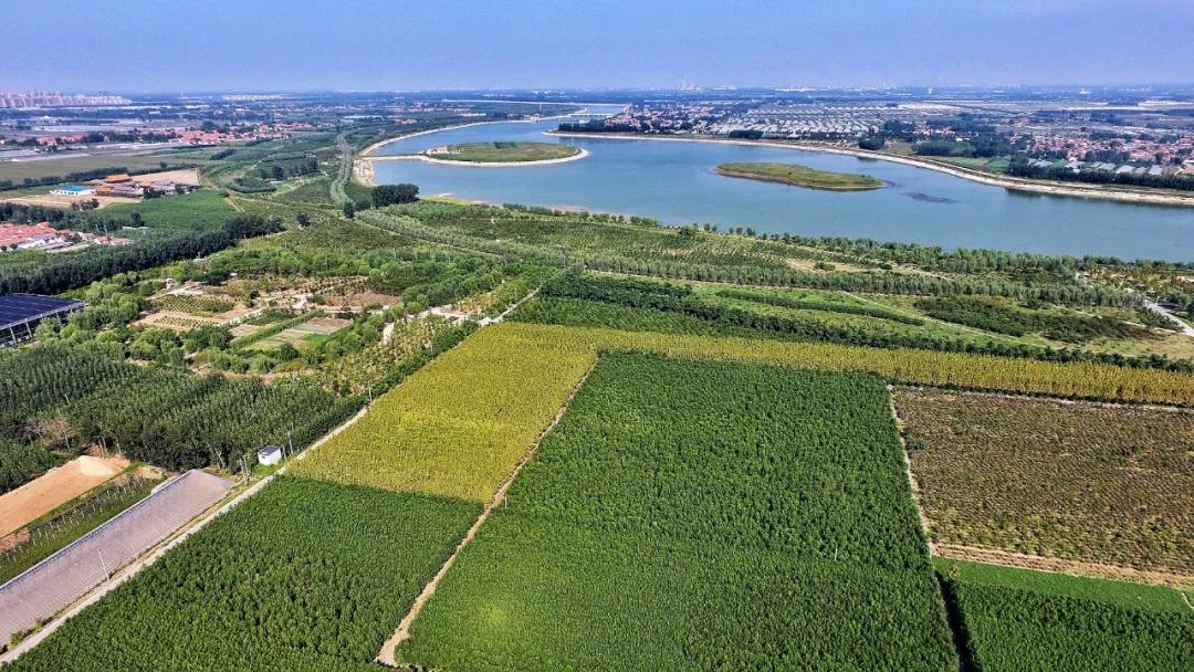 赏鹊林叠翠游魅力李鹊——“好品李鹊”杯短视频大赛开始啦