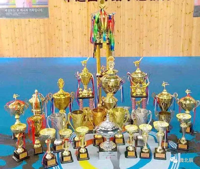 再获佳绩什么意思,北辰跆拳道晋级考试活动圆满结束