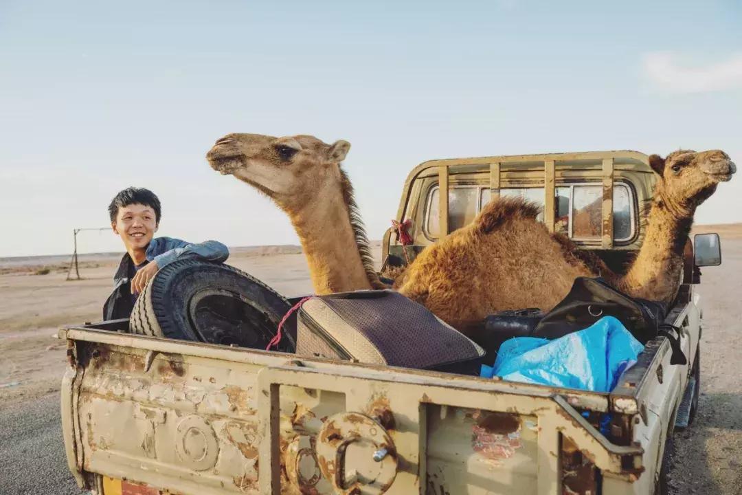 上海到南非海运多少公里,从香港到南非