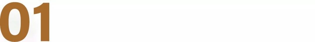 抖音热卖的网红产品测评,抖音网红背书