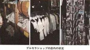 少女卖二手内衣年入50万，衣物上味道越重越好？！