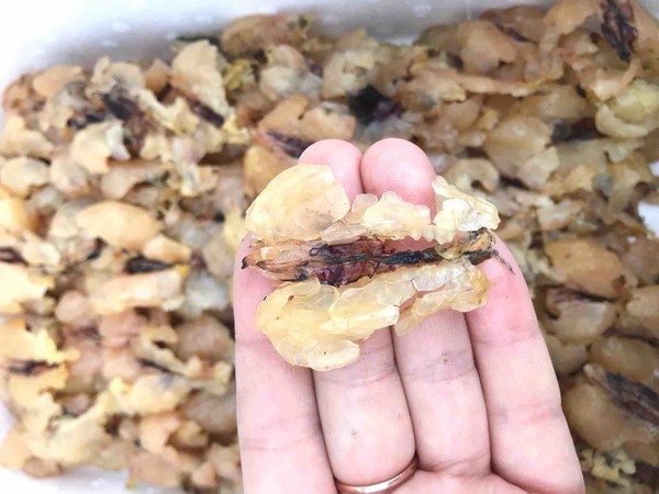 养胃养肝的菜,常吃这菜养肝有效