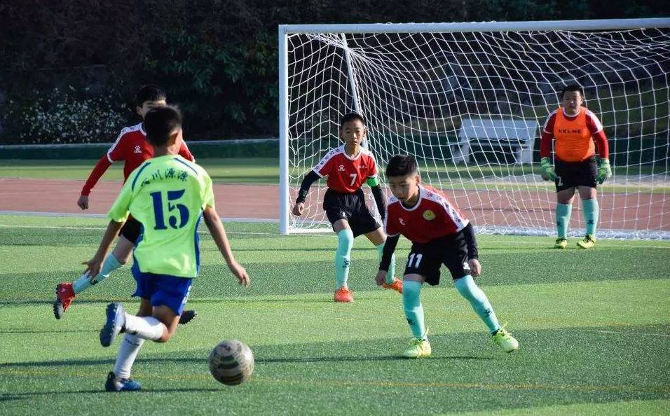 白岩松谈中国足球越位,白岩松谈二十年后中国足球原视频