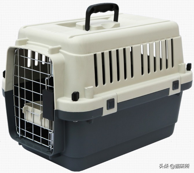 猫咪航空托运全面解析铲屎官必看,八大航空公司对于托运猫咪要求