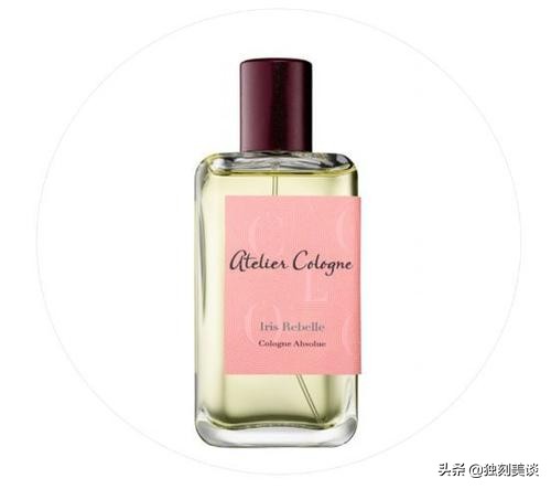 无法拒绝的5款小众好物,便宜又好用的小众好物