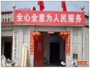 养猪合作社如何申请养殖场,养猪农民专业合作社是怎么运作的