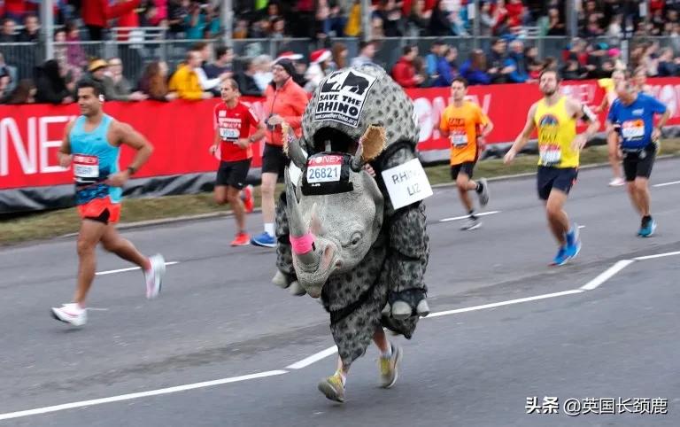 英国最大华人物流公司疑似破产！伦敦马拉松时隔两年再回归