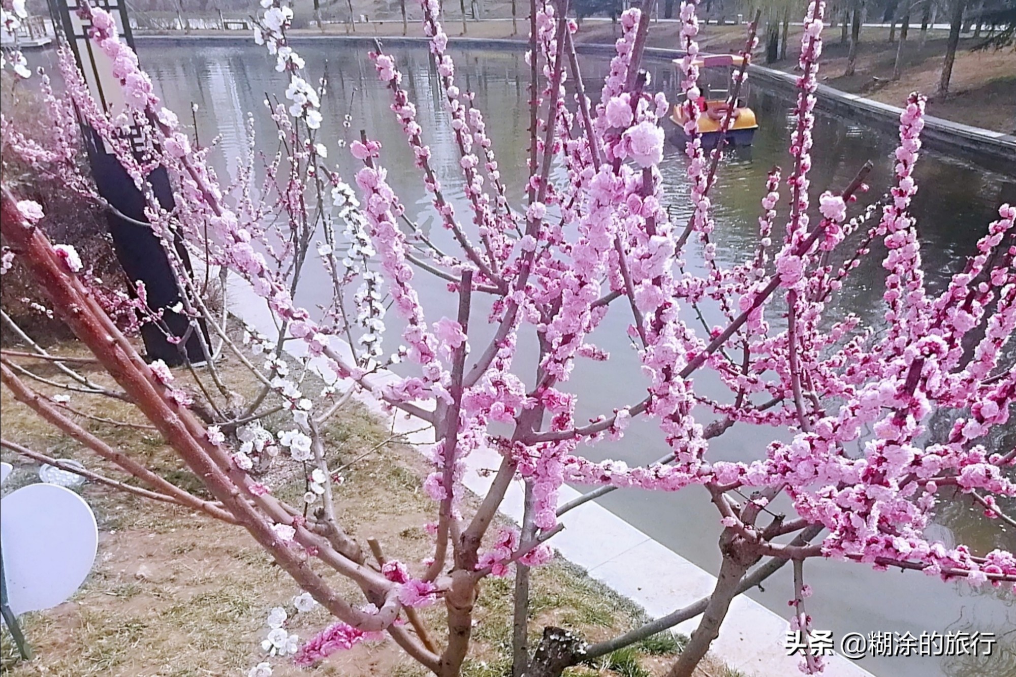 西安西郊公园里,西安西郊好玩的公园