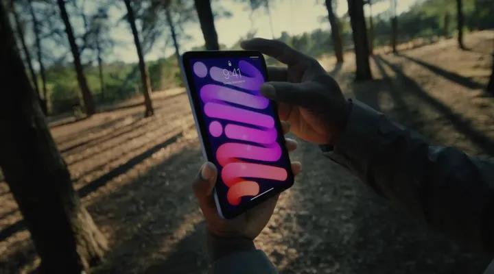 苹果官方ipadmini6消息,苹果ipadmini6最新官方信息