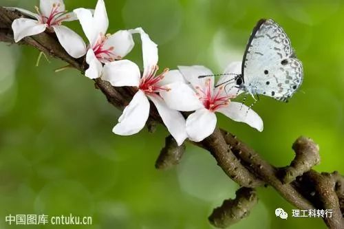 环境工程就业方向及前景,环境工程就业难吗