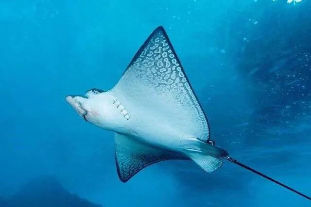 深圳最大的室内游乐场,深圳适合小孩玩的游乐场