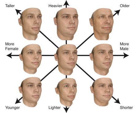 超两万字的最全人脸数据集介绍汇总，从人脸检测到人脸风格化