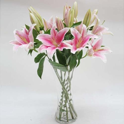 花艺插花常见花名有哪些,鲜花插花的技巧有哪些