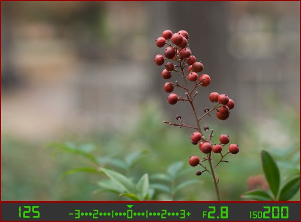 光学取景器和电子取景器区别,光学取景器和相机哪个好