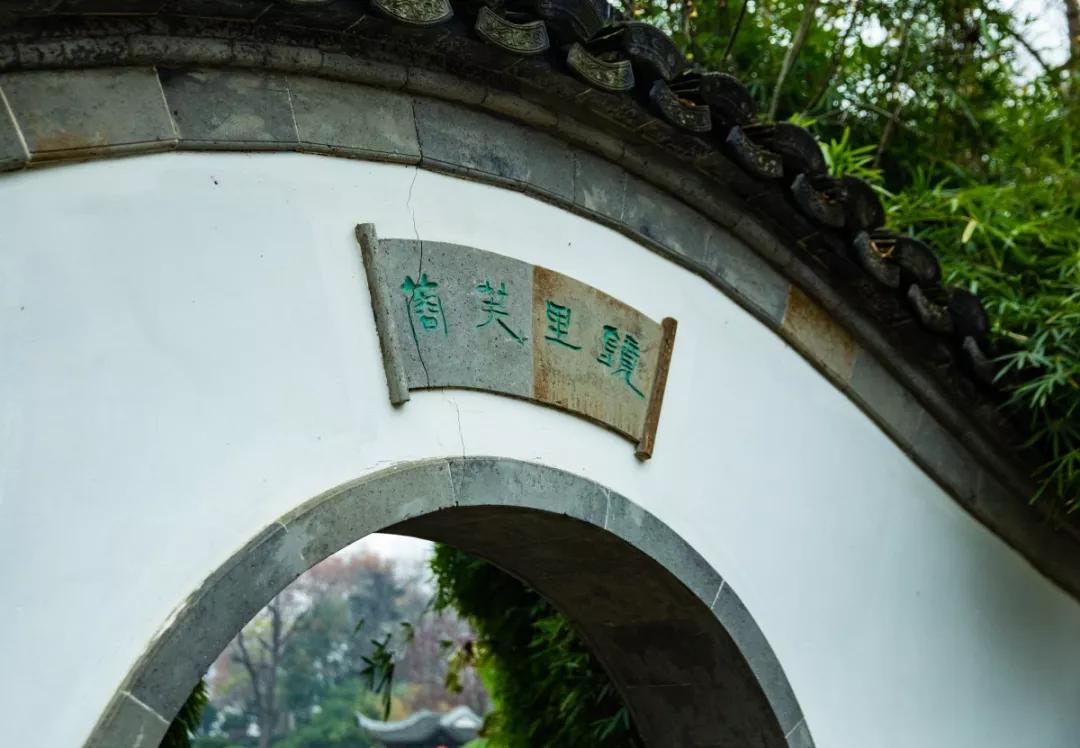 南京腊梅最佳观赏时间,南京赏梅花景点推荐