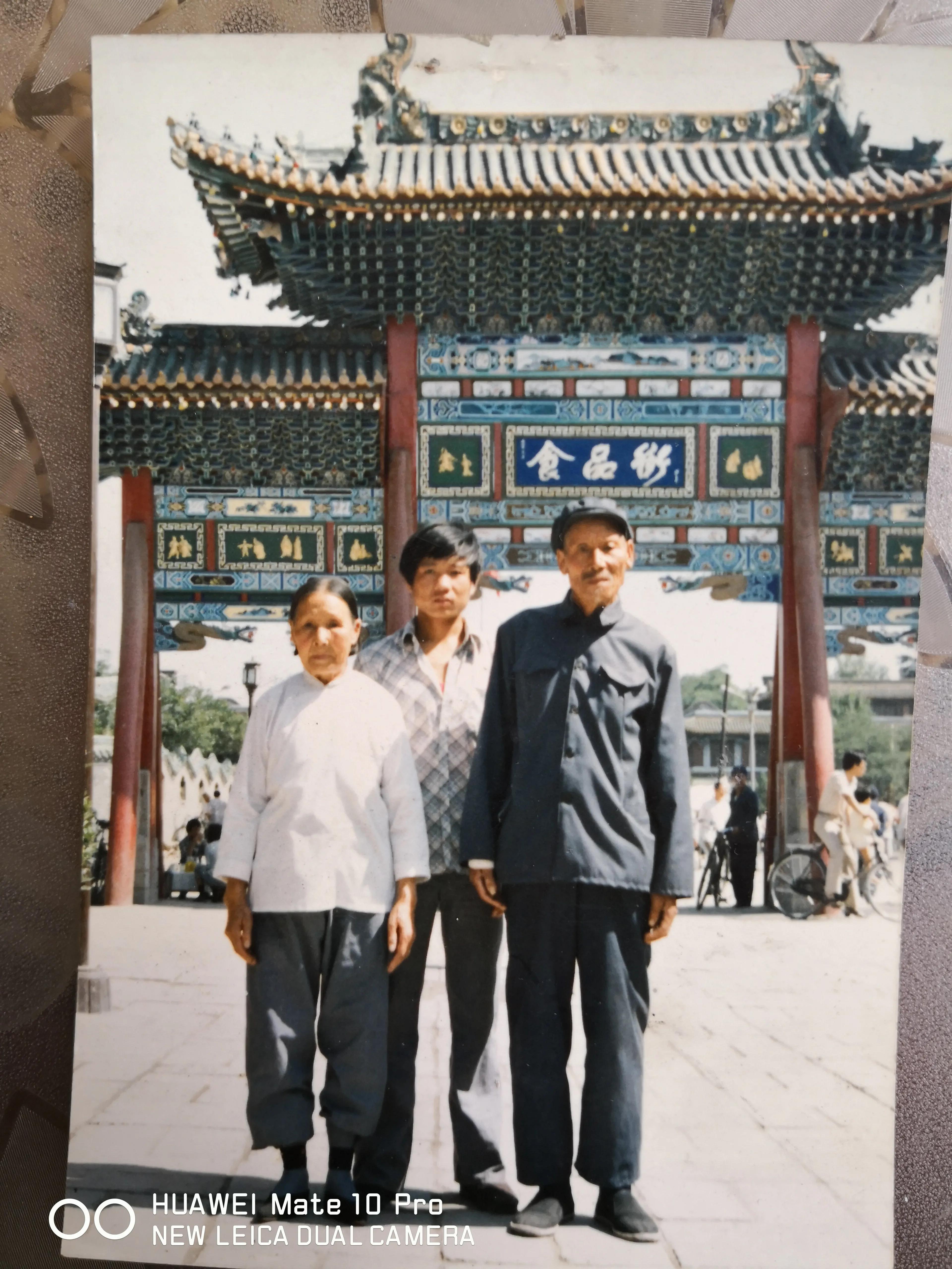 我的五个奶奶,我的奶奶四年级