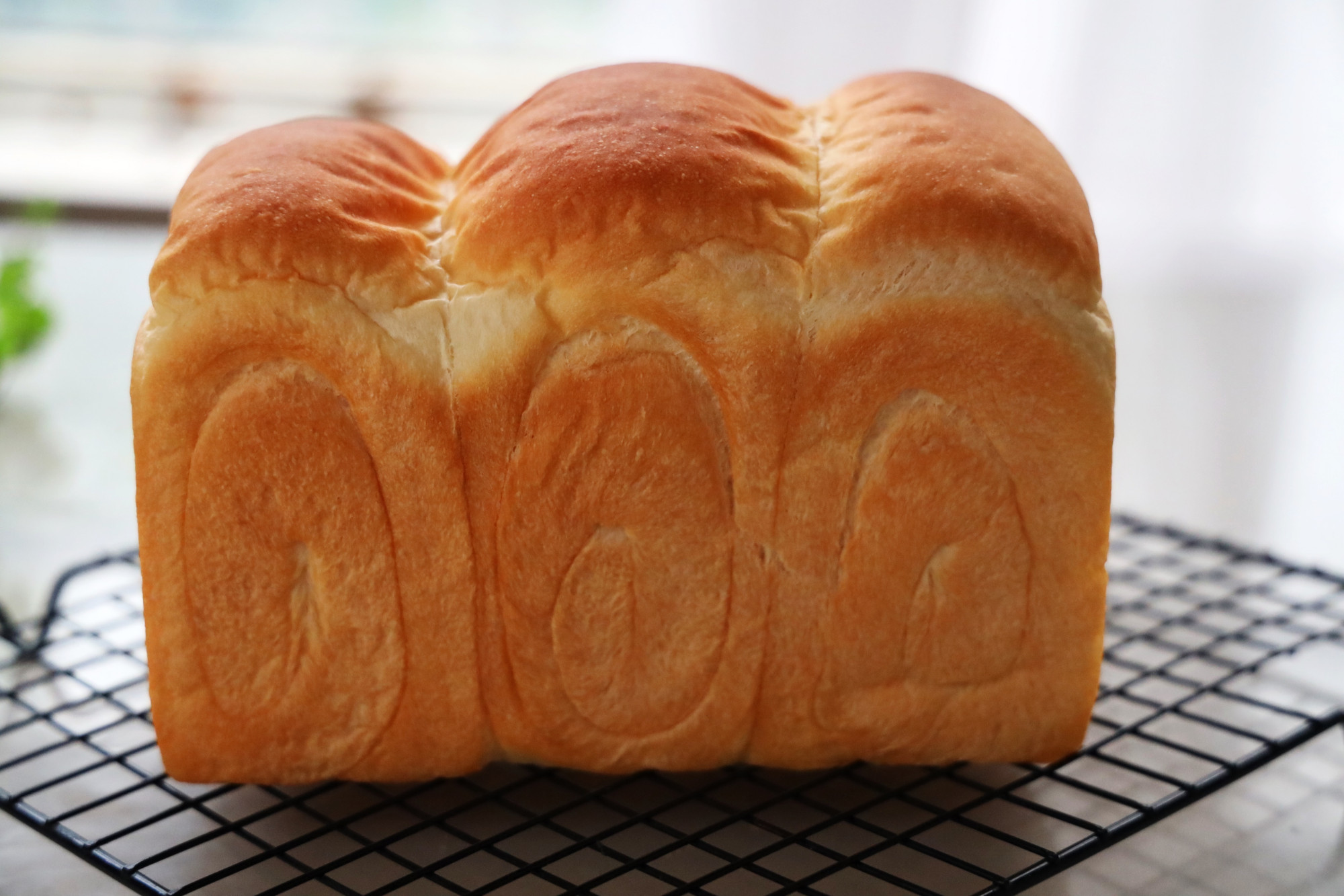 不用厨师机的拉丝全麦吐司,不用揉面的吐司做法