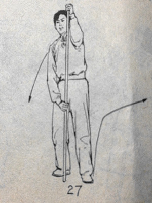 武术猴拳,武术猴拳视频