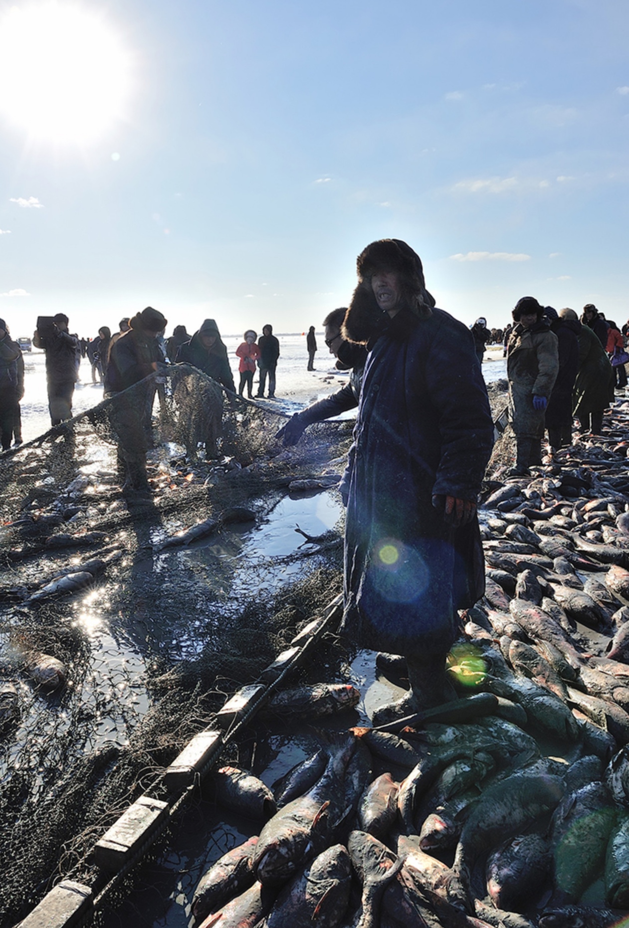 东北全鱼宴 (东北最正宗的全鱼宴)