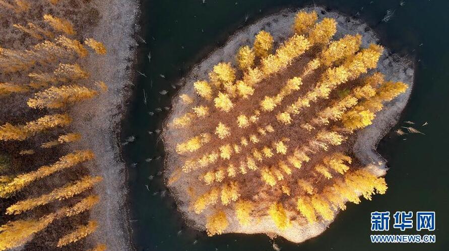 高端媒体看磁县,高端媒体看邢台新华社