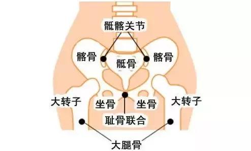 陆氏九龙正骨全套完整视频,陆氏正骨