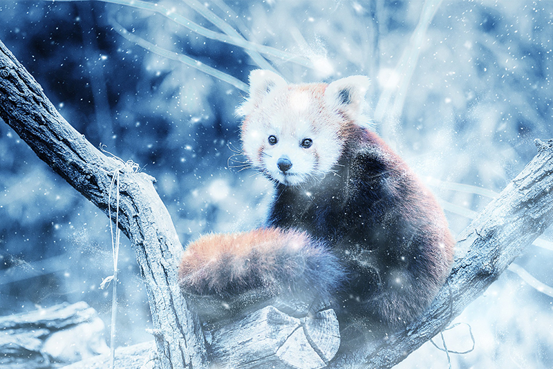 分手后聊天很冷淡如何挽回,分手后见面要怎么说才有机会挽回