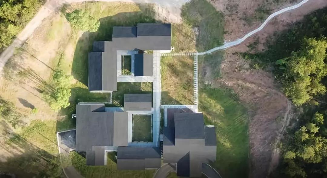 丁磊一千万养猪视频,起底丁磊养猪事业史