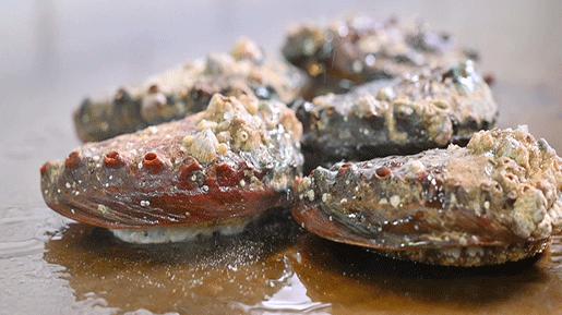 大渔铁板烧里的芝士扇贝,日式铁板烧芝士焗大虾