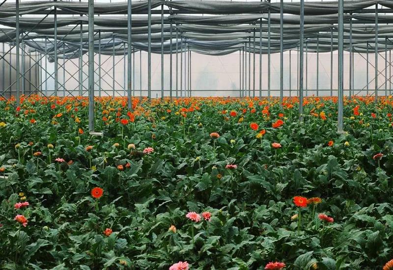 温室大棚取暖炉,大棚取暖的炉子有哪些