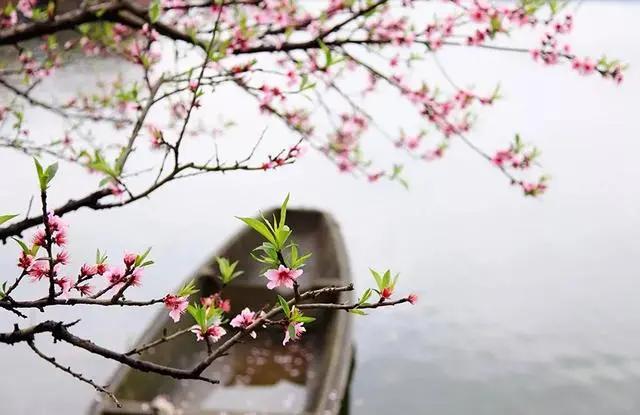 励志金句经典语录300句,励志座右铭八个字经典语录