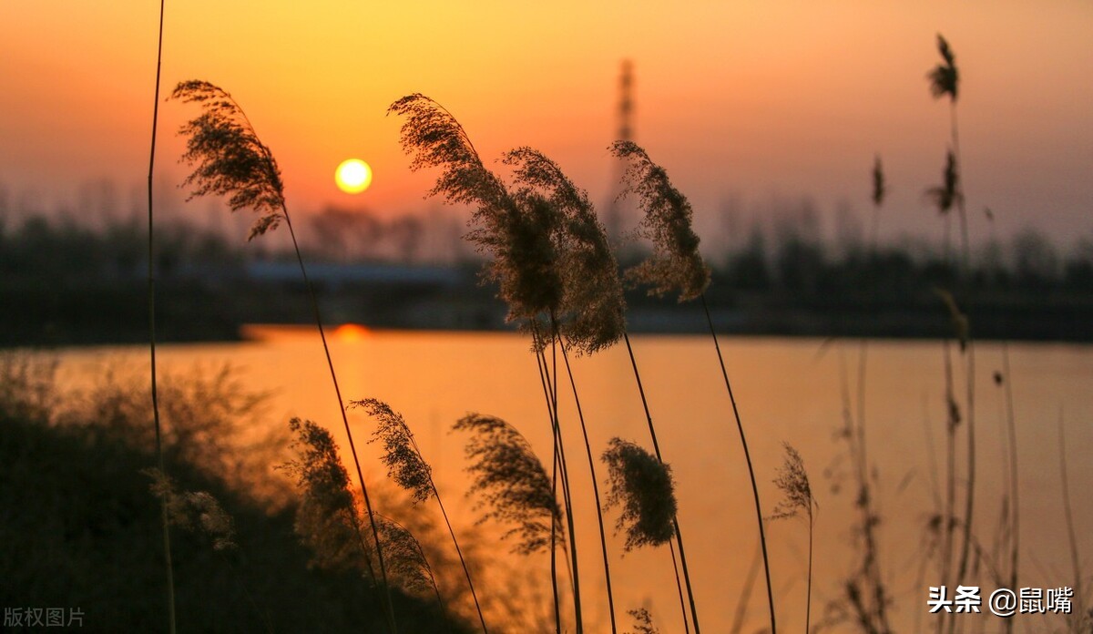 世说新语二则的译文,世说新语王子敬译文