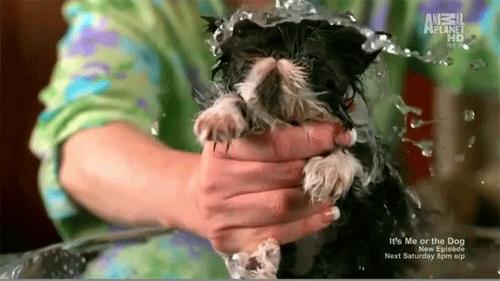 洗澡时不能做的几件事,洗澡时不能做的事