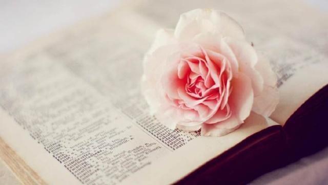 最美的样子不过就是拼命装扮自己,内心的装扮才是最美的