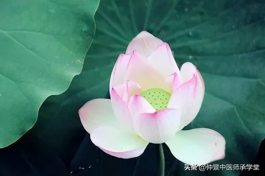 艾灸要好久才能把阳气补起来,艾灸操作不当有什么危害